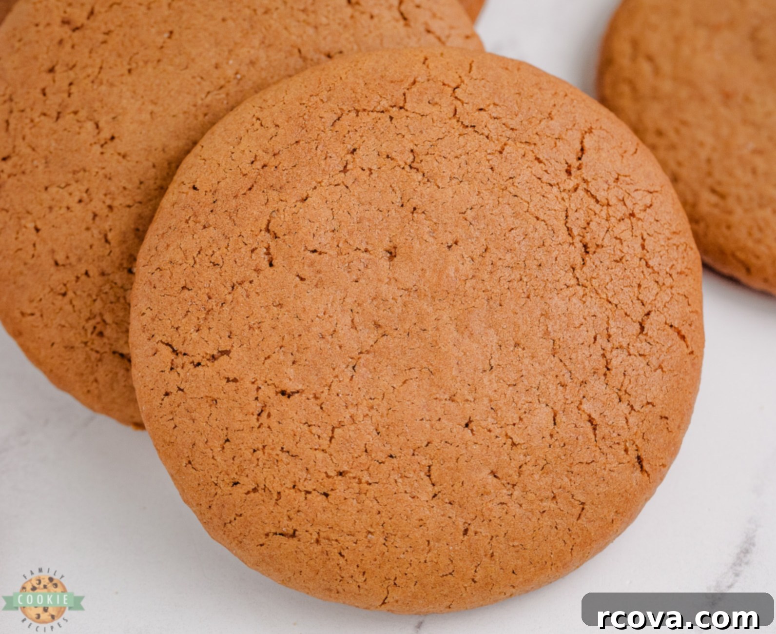Soft and Chewy Molasses Cookies 7 chewy molasses cookie
