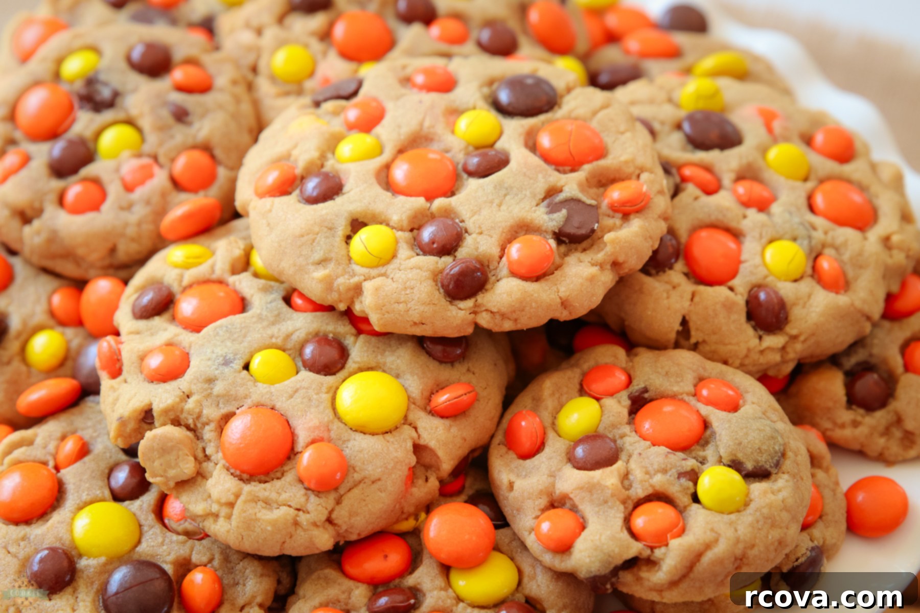 REESE'S PEANUT BUTTER COOKIES 2 Reese's Peanut Butter Cookies topped with Reese's candies, showcasing their golden-brown edges and colorful candy pieces