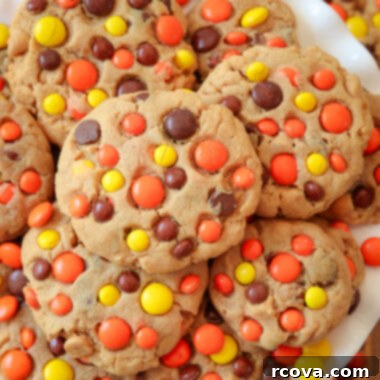 REESE'S PEANUT BUTTER COOKIES 4 Freshly baked Reese's Peanut Butter Cookies on a white plate, ready to be enjoyed
