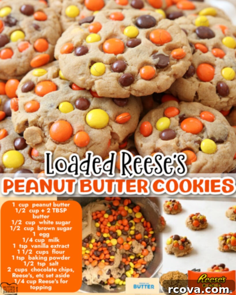 REESE'S PEANUT BUTTER COOKIES 6 Delicious Reese's Peanut Butter Cookies, a perfect blend of chocolate and peanut butter, presented beautifully