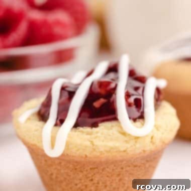 Zesty Berry Cookie Bites 10 img 21844 9