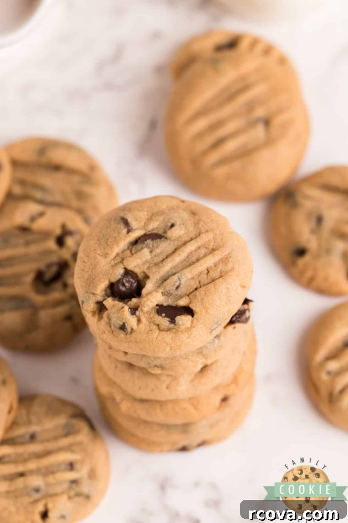 Decadent Peanut Butter Chocolate Chip Delights 11 The BEST Peanut Butter Chocolate Chip Cookies: soft and chewy, loaded with chocolate chips and perfect every time!