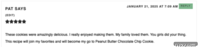 Decadent Peanut Butter Chocolate Chip Delights 4 Promotional banner for cookie recipes