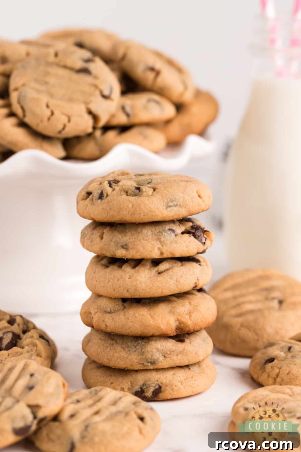 Decadent Peanut Butter Chocolate Chip Delights 5 Perfectly baked peanut butter chocolate chip cookies on a cooling rack
