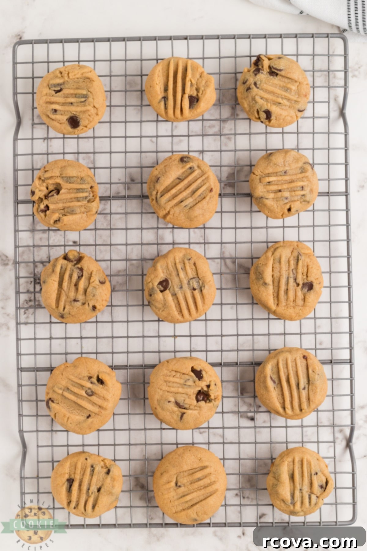 Decadent Peanut Butter Chocolate Chip Delights 8 Freshly baked Peanut Butter Chocolate Chip Cookies cooling on a wire rack