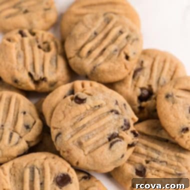 Decadent Peanut Butter Chocolate Chip Delights 9 The Best Soft & Chewy Peanut Butter Chocolate Chip Cookies