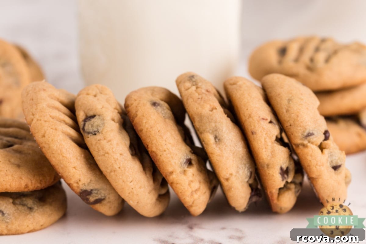Decadent Peanut Butter Chocolate Chip Delights 10 A beautiful stack of freshly baked Peanut Butter Chocolate Chip Cookies