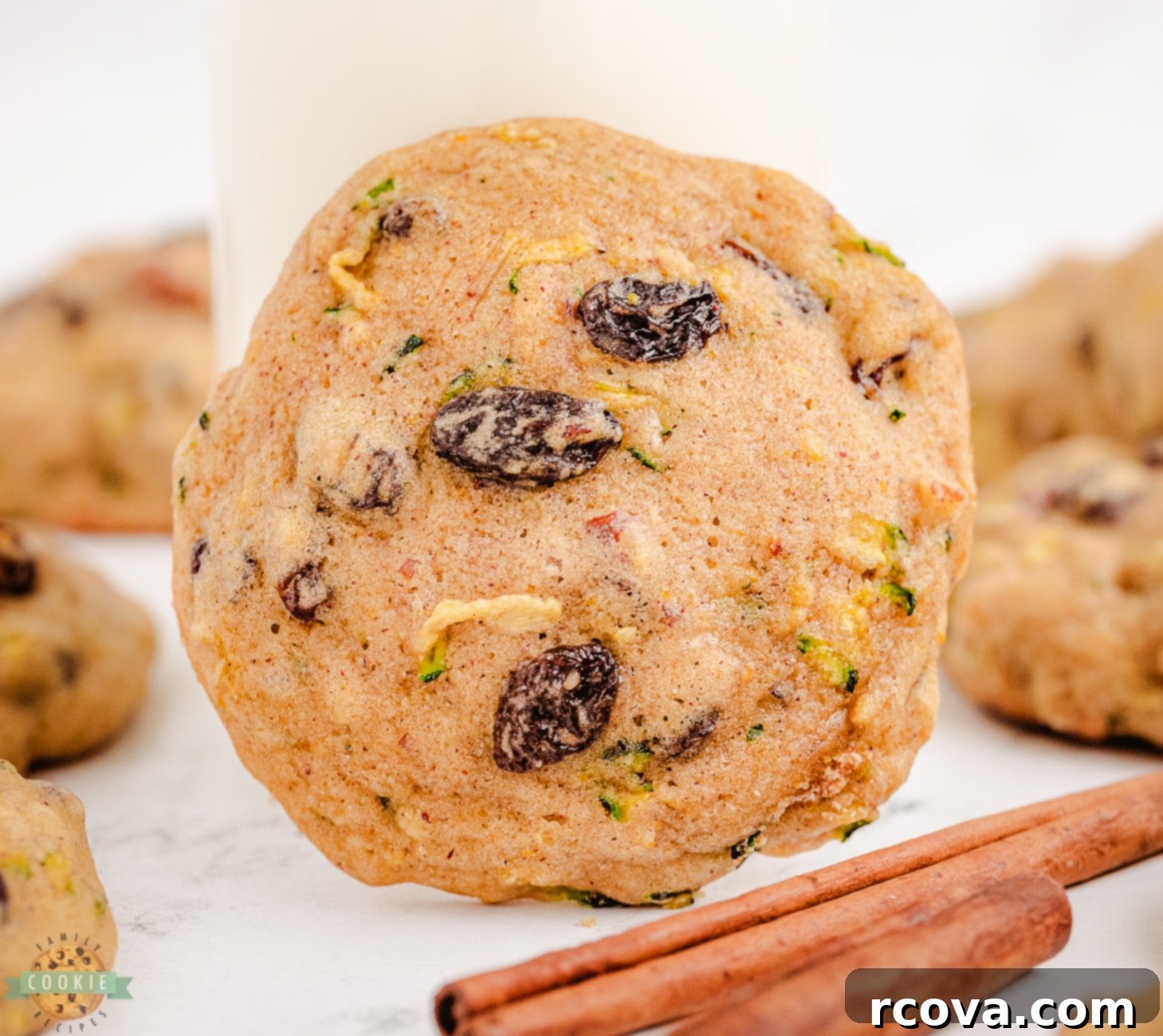 Wholesome Zucchini Morning Bites 3 zucchini breakfast cookie with pecans and raisins