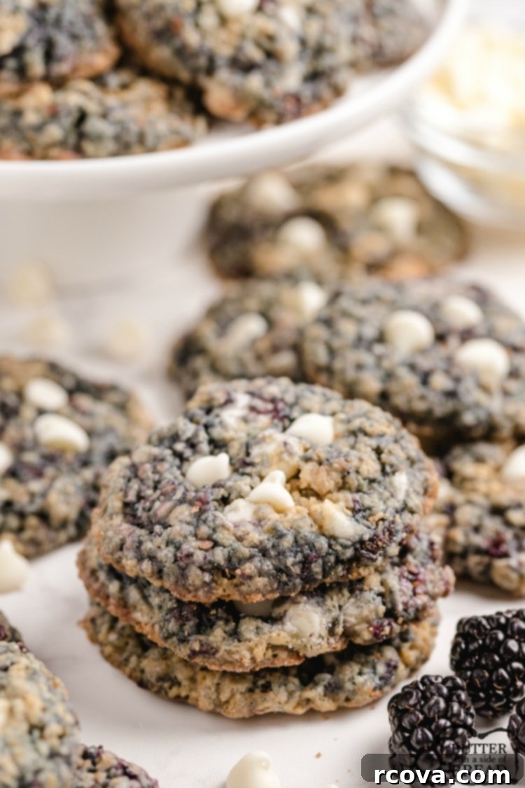 Oatmeal Cookie Creations 18 Delicious blackberry oatmeal cookies made with fresh blackberries.