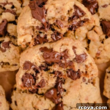 Oatmeal Cookie Creations 20 A selection of delicious and varied oatmeal cookie recipes.