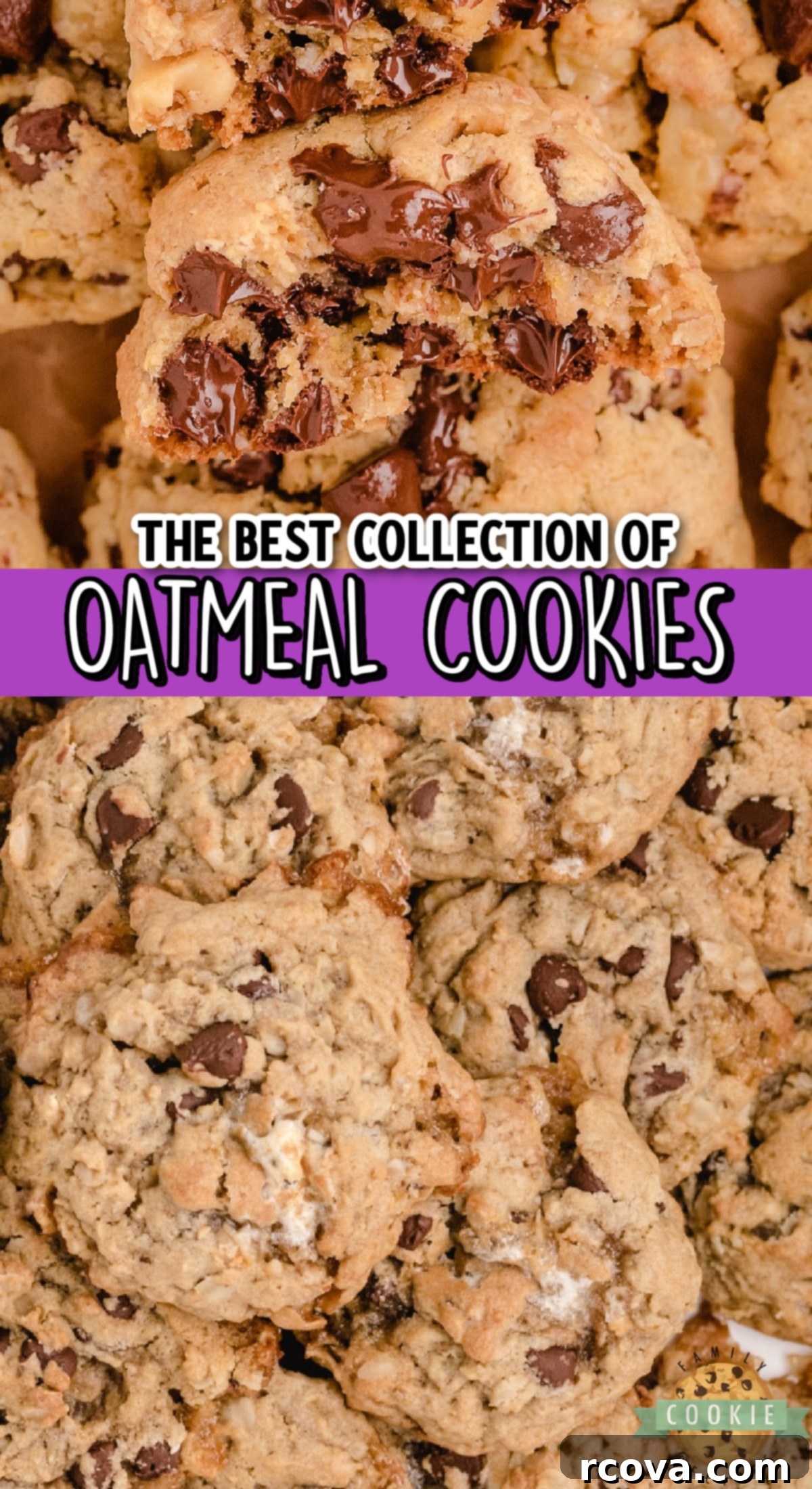 Oatmeal Cookie Creations 21 An enticing collage of various delicious oatmeal cookie recipes, showcasing different flavors and textures.