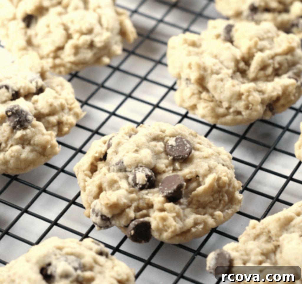 Oatmeal Cookie Creations 6 Classic chewy oatmeal chocolate chip cookies, a timeless family favorite.
