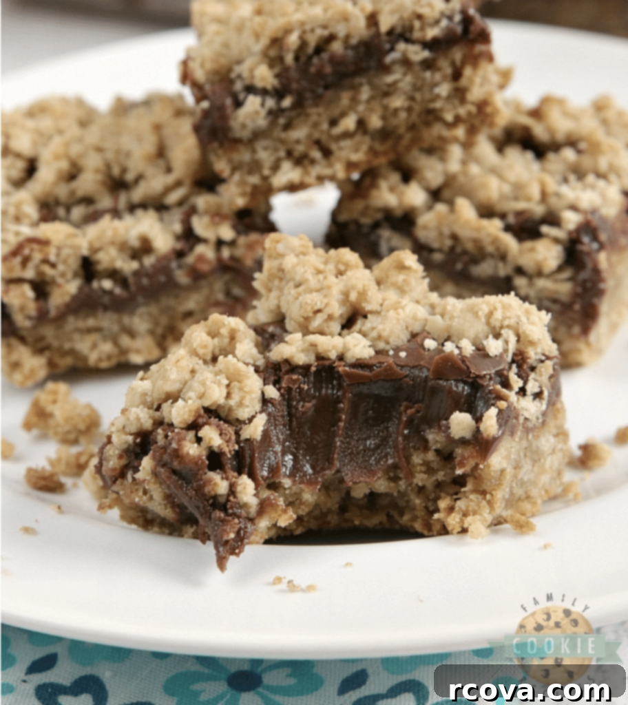 Oatmeal Cookie Creations 8 Fudgy oatmeal cookie bars with a thick chocolate ganache layer.