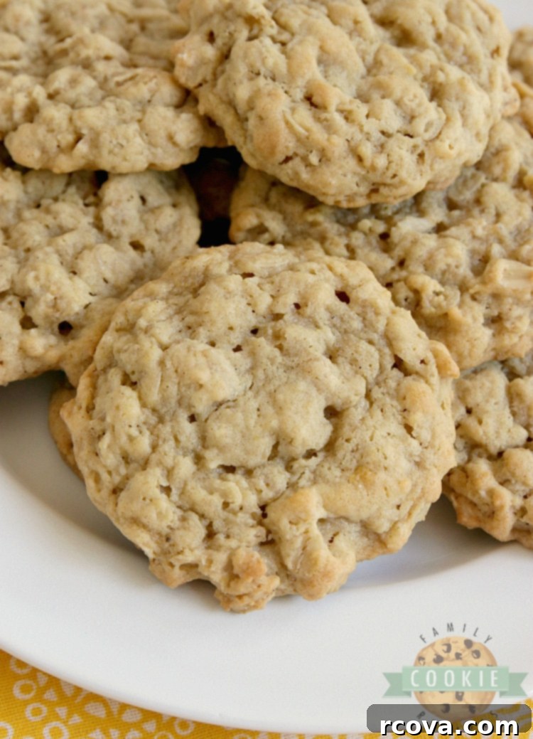 Oatmeal Cookie Creations 9 Soft and chewy banana oatmeal cookies made with banana pudding mix.