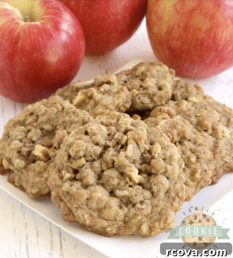 Oatmeal Cookie Creations 10 Soft, chewy caramel apple oatmeal cookies, perfect for fall.