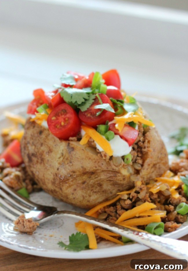 28 Deliciously Healthy Ground Turkey Meals 20 Tex Mex Loaded Baked Potatoes with Turkey and Lentils via Satori Design for Living