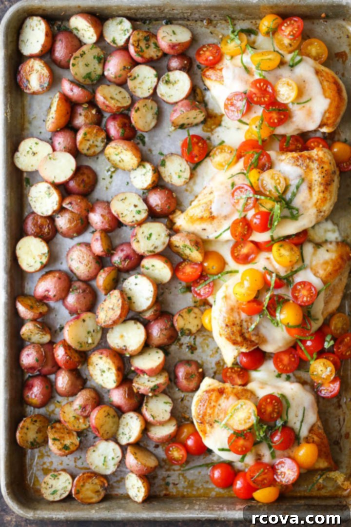 Sheet Pan Magic: Effortless Dinner Ideas 29 Sheet Pan Bruschetta Chicken topped with fresh tomatoes and basil