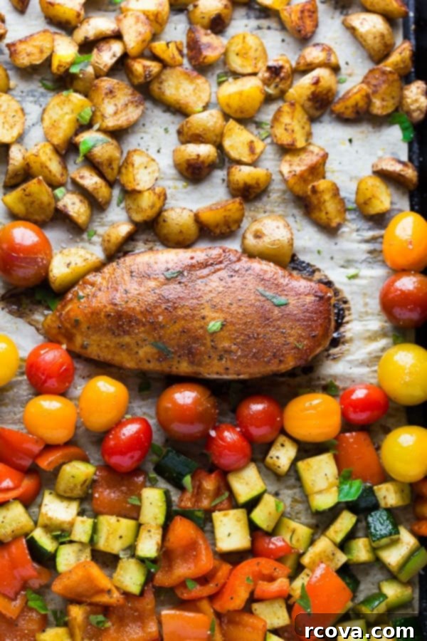 Sheet Pan Magic: Effortless Dinner Ideas 30 Paprika Chicken Sheet Pan Dinner with potatoes, bell peppers, zucchini, and cherry tomatoes