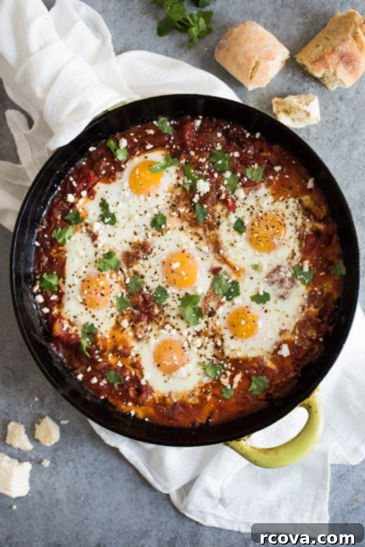 Quick and Wholesome One Pan Meals 25 Chipotle Shakshuka Recipe via Isabel Eats