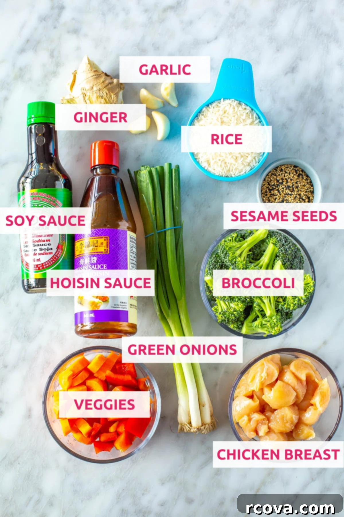 Instant Pot Teriyaki Chicken and Rice 4 Ingredients for Instant Pot teriyaki chicken bowls: jasmine rice, fresh garlic, grated ginger, low-sodium soy sauce, hoisin sauce, various veggies like broccoli, carrots, and red bell pepper, green onions, chicken breast, and sesame seeds.