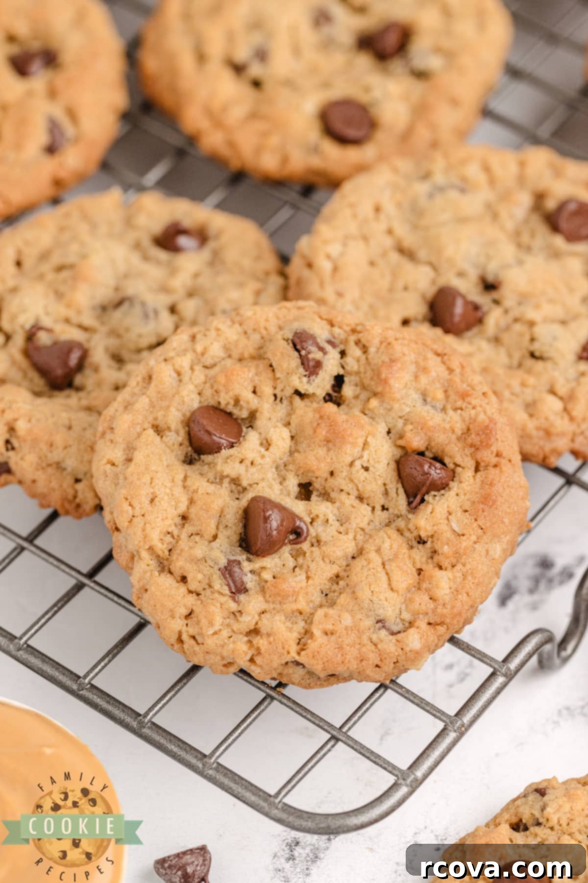 Ultimate Peanut Butter Oatmeal Chocolate Chip Cookies 2 Thick and chewy Peanut Butter Oatmeal Chocolate Chip Cookies combining three classic flavors.