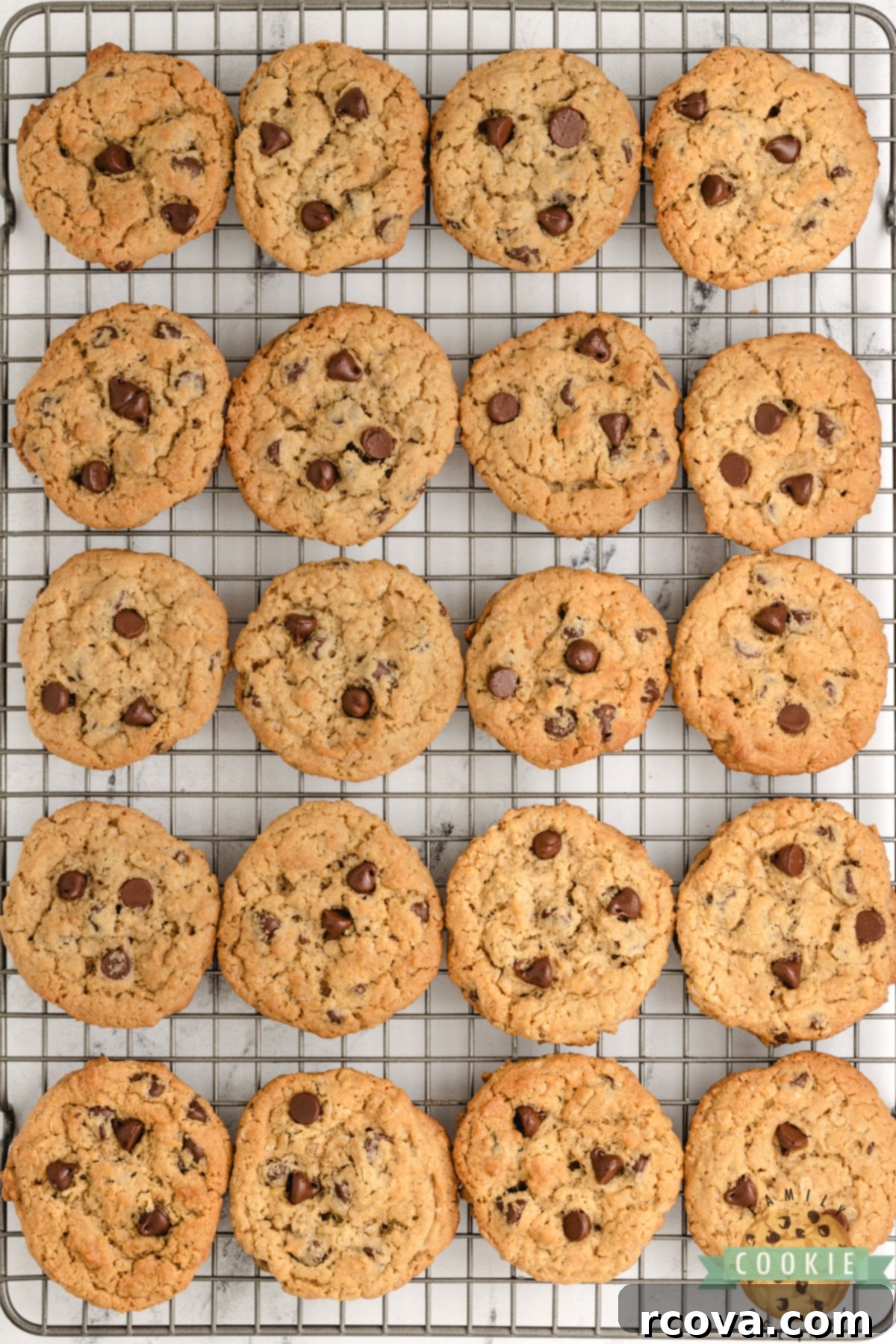 Ultimate Peanut Butter Oatmeal Chocolate Chip Cookies 5 Freshly baked Peanut Butter Oatmeal Chocolate Chip Cookies cooling on a wire rack.