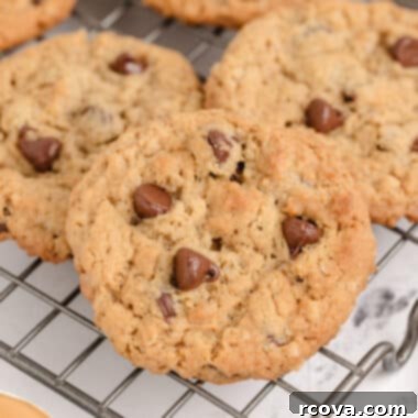 Ultimate Peanut Butter Oatmeal Chocolate Chip Cookies 6 Peanut Butter Oatmeal Chocolate Chip Cookies are thick, chewy, and packed with flavor.