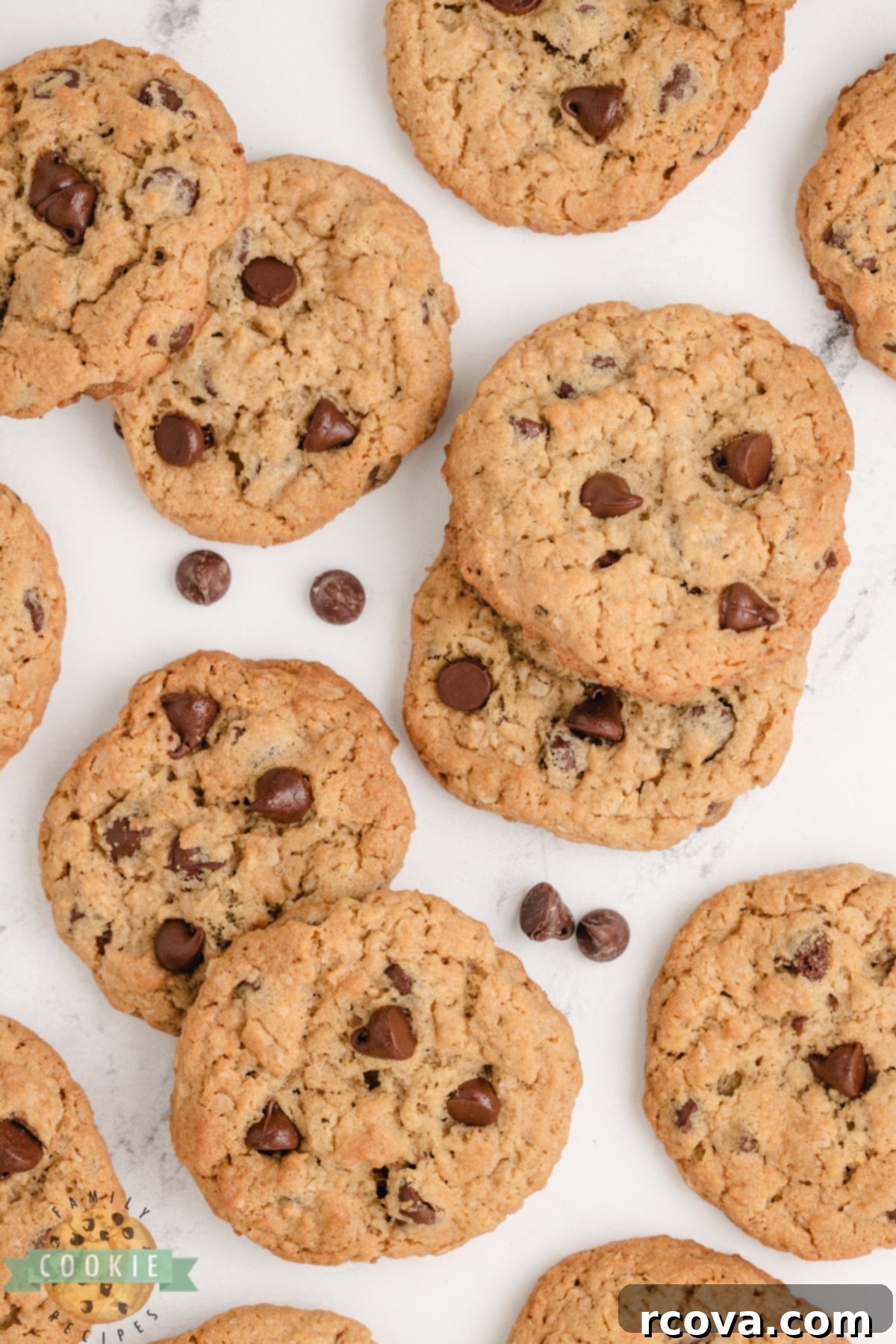 Ultimate Peanut Butter Oatmeal Chocolate Chip Cookies 7 Close-up of a Peanut Butter Oatmeal Chocolate Chip Cookie with melted chocolate chips.