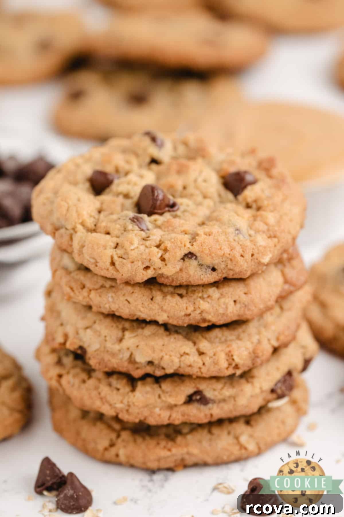 Ultimate Peanut Butter Oatmeal Chocolate Chip Cookies 8 A plate of warm Peanut Butter Oatmeal Chocolate Chip Cookies, perfect for sharing or enjoying alone.
