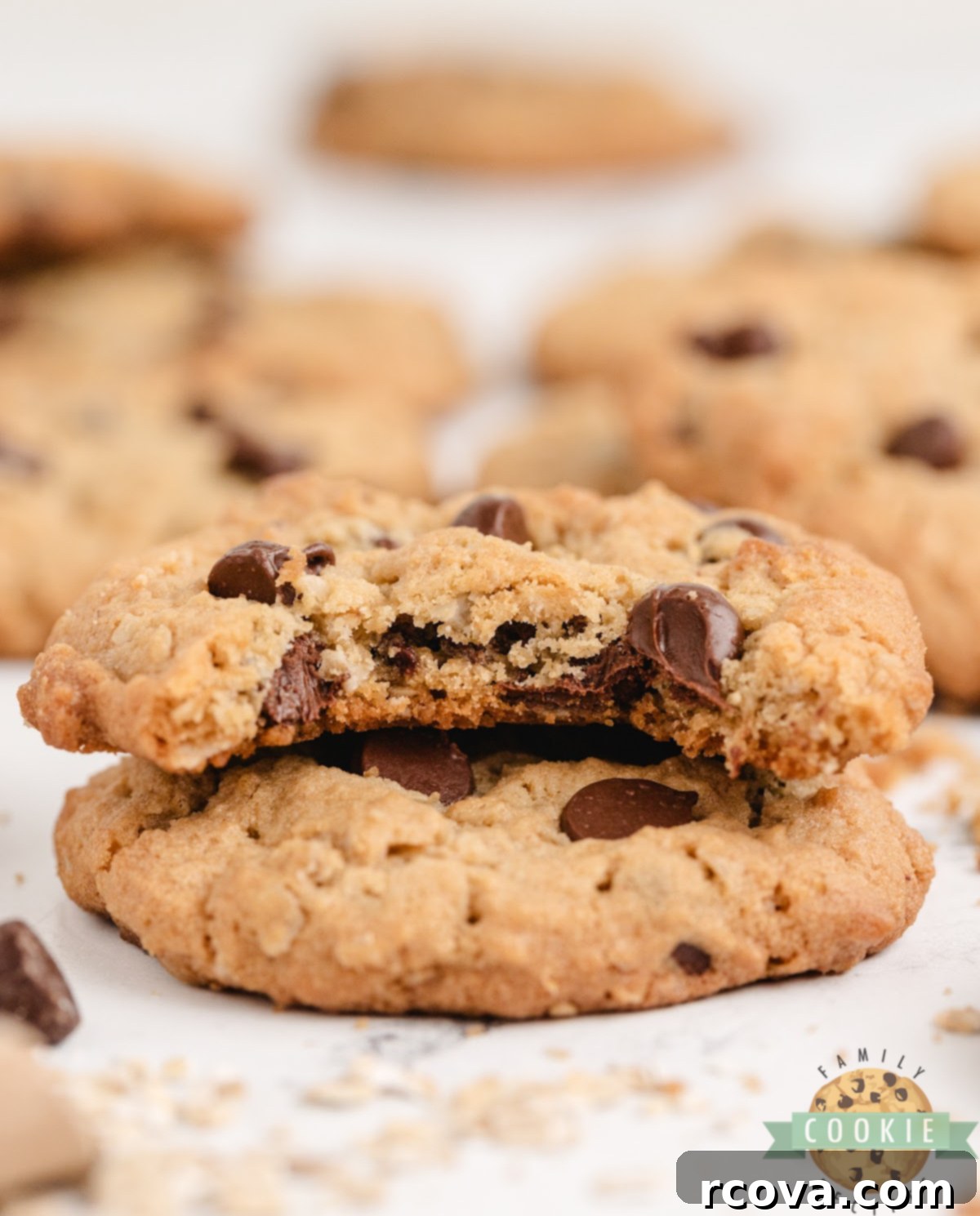 Ultimate Peanut Butter Oatmeal Chocolate Chip Cookies 9 A close-up shot of the irresistible texture of Peanut Butter Oatmeal Chocolate Chip Cookies.