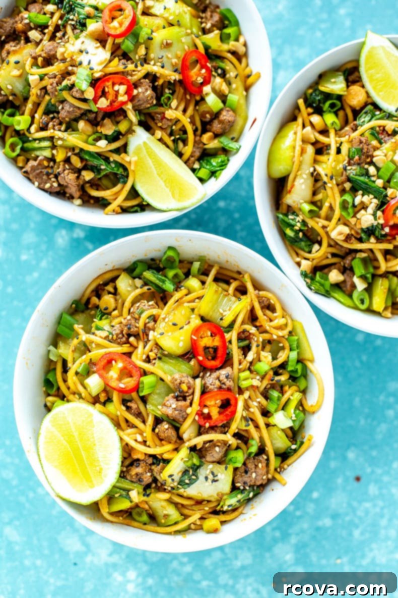 Quick & Wholesome Wok Wonders 19 Dan dan noodles