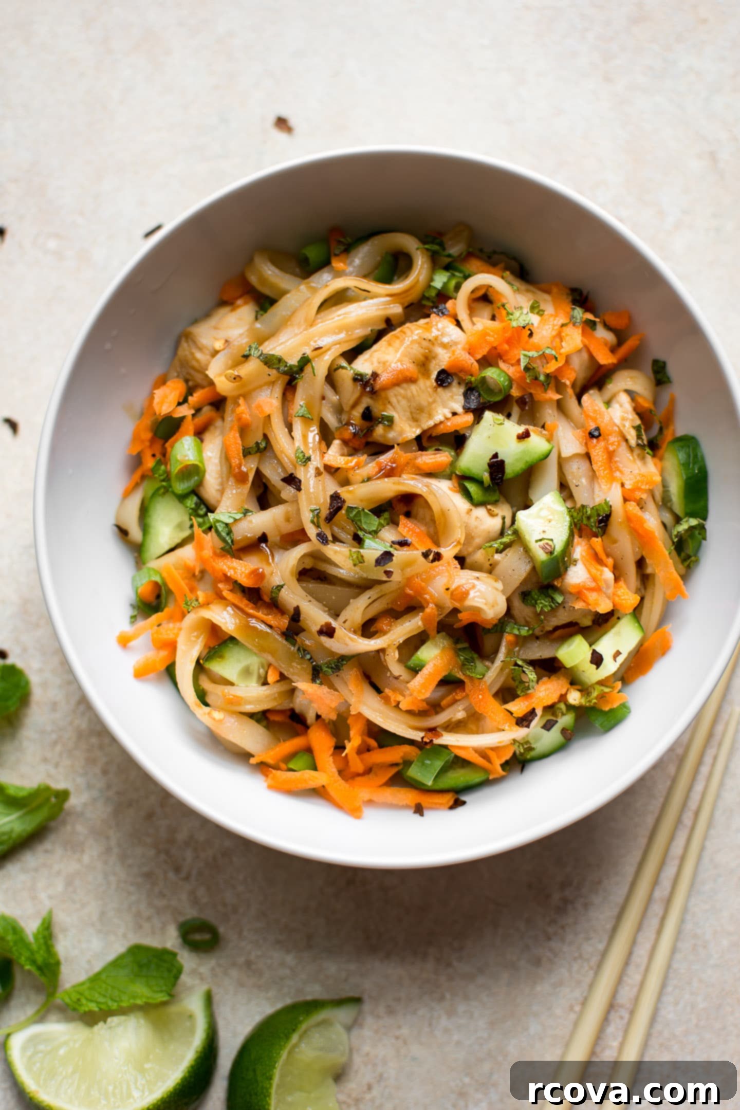 Quick & Wholesome Wok Wonders 10 Chicken Stir Fry with Rice Noodles via Salt & Lavender