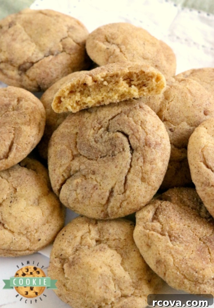 Sweet Pumpkin Cookie Delights 2 Pumpkin Snickerdoodles