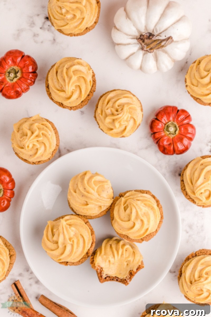 Sweet Pumpkin Cookie Delights 12 Pumpkin Cheesecake Ginger Cookies