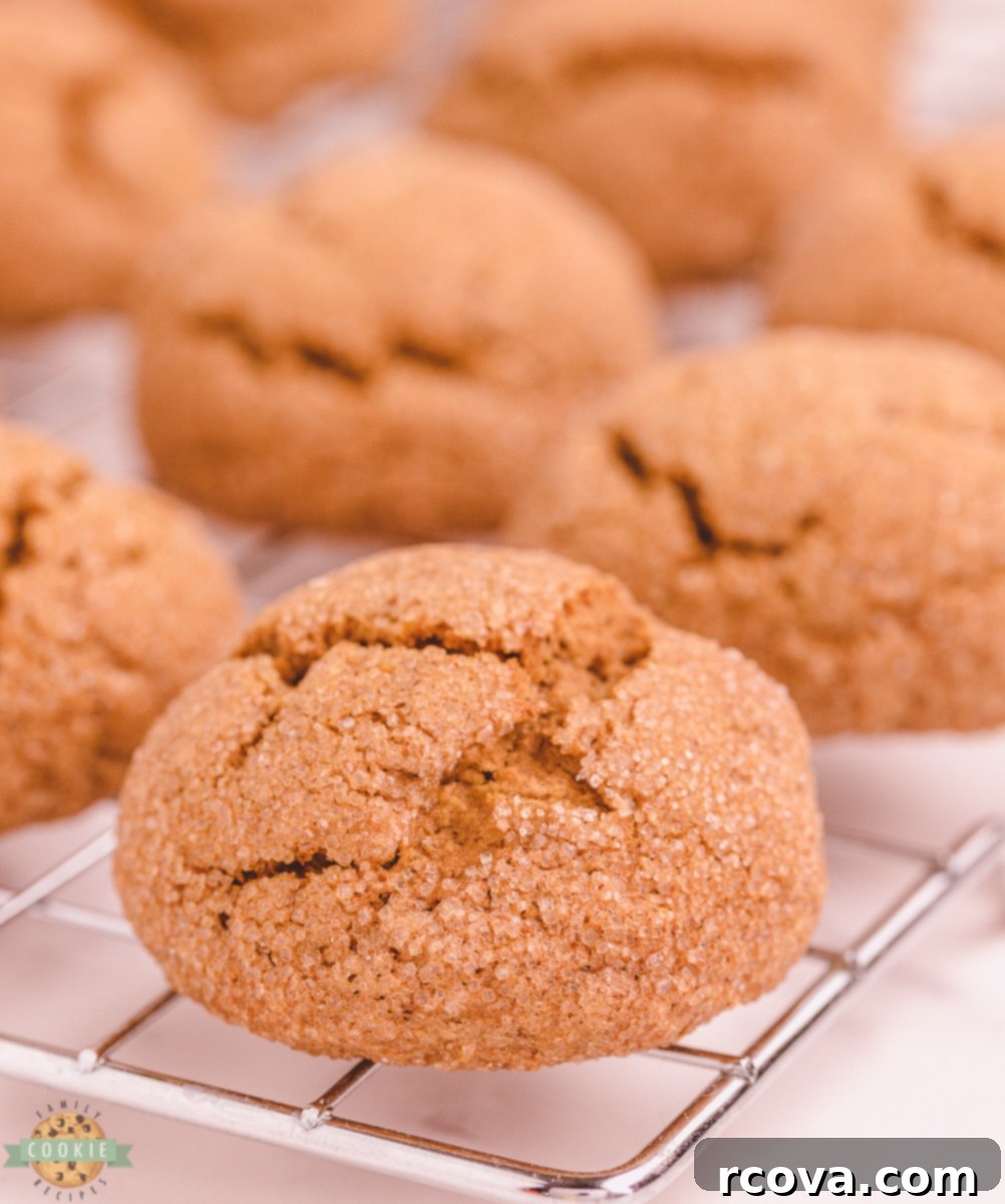 Sweet Pumpkin Cookie Delights 14 Pumpkin Gingersnap Cookies