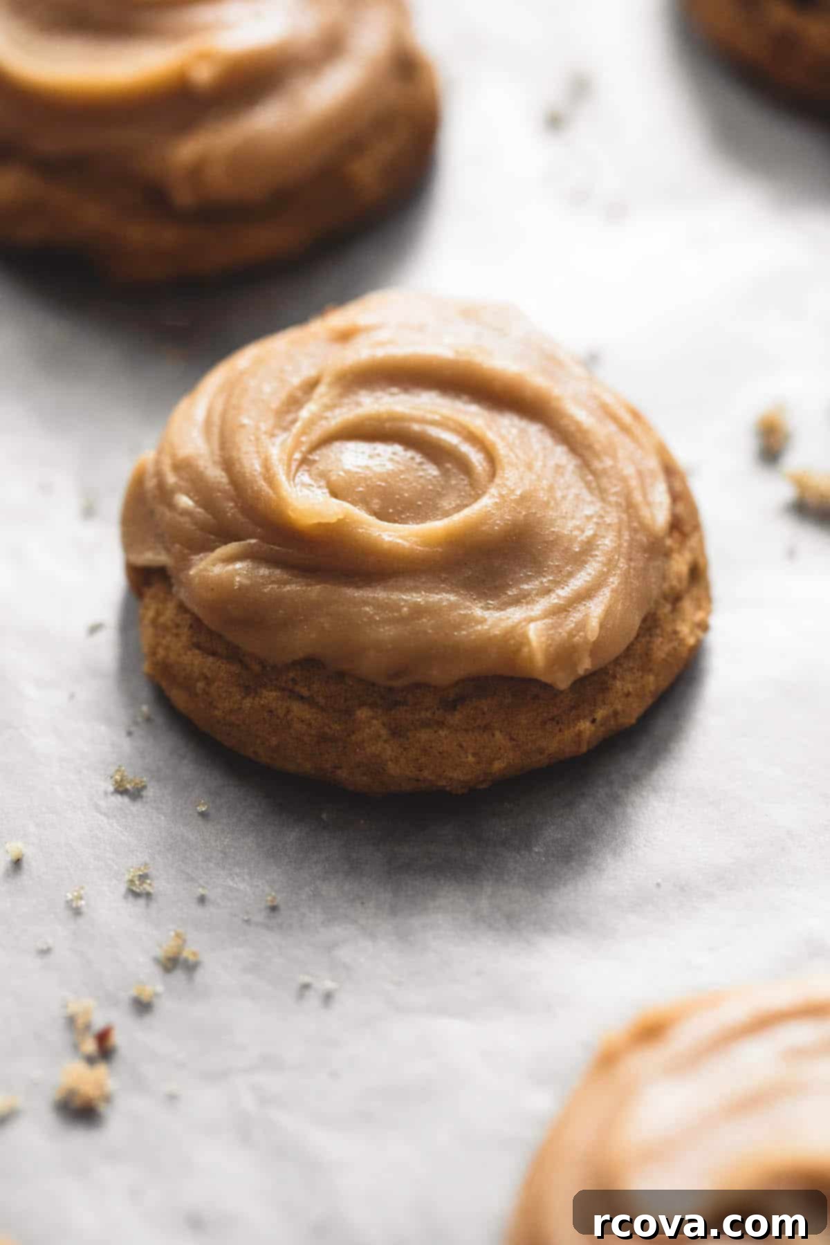 Sweet Pumpkin Cookie Delights 15 Pumpkin Cookies with Brown Sugar Frosting
