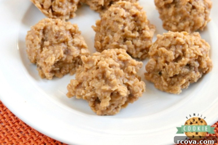 Sweet Pumpkin Cookie Delights 3 No Bake Pumpkin Cookies