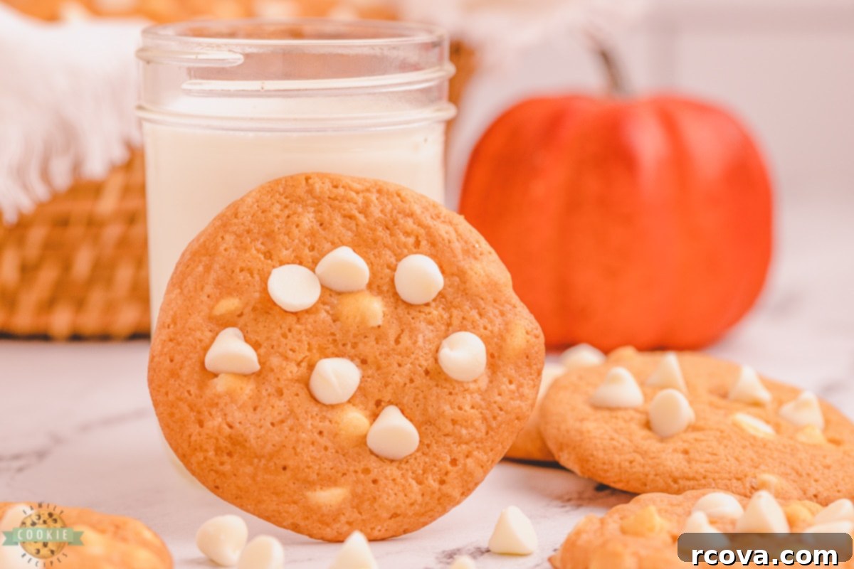 Sweet Pumpkin Cookie Delights 5 Pumpkin Pudding Cookies