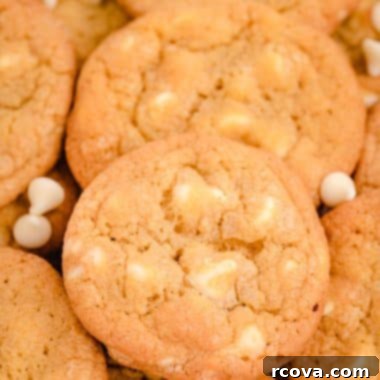 The Definitive Mrs. Fields White Chocolate Chip Cookie Recipe 11 copycat Mrs. Fields White chocolate Chip cookies