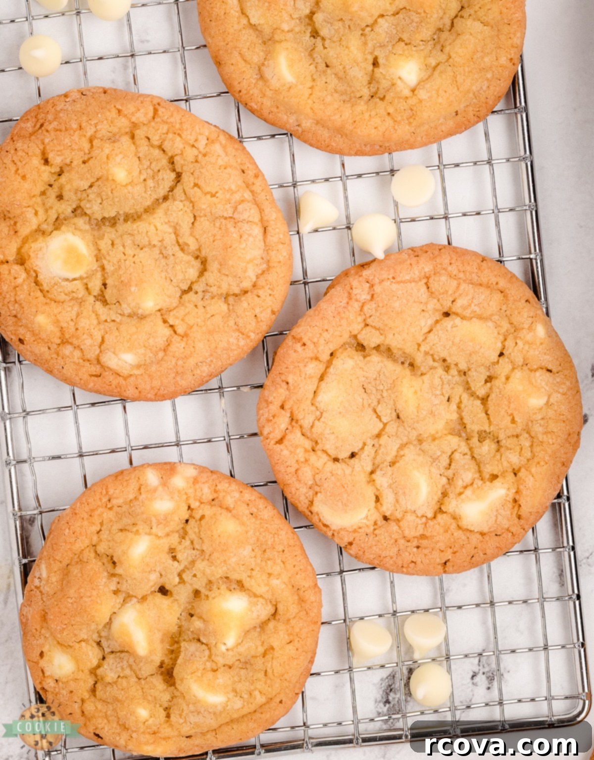 The Definitive Mrs. Fields White Chocolate Chip Cookie Recipe 12 white chocolate cookies cooling on a rack