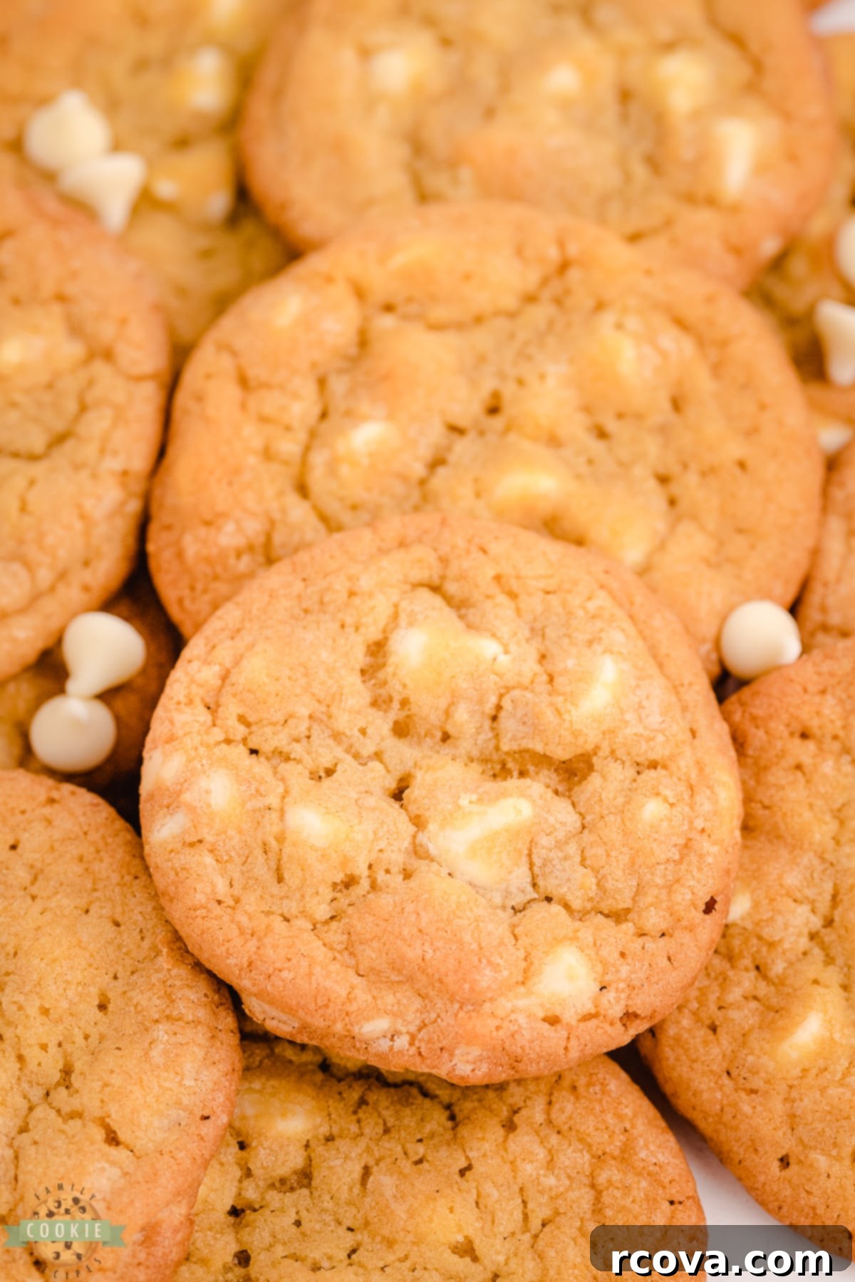 The Definitive Mrs. Fields White Chocolate Chip Cookie Recipe 13 copycat Mrs. Fields White chocolate Chip cookies