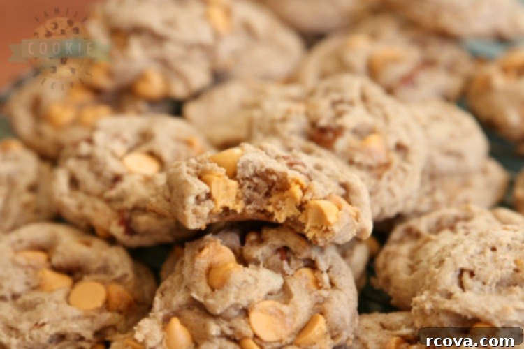 Easy Caramel Spice Cake Mix Cookies 2 Delicious Caramel Spice Cake Mix Cookies with caramel chips and pecans, perfect for fall