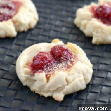 Cherry Cheesecake Delights 5 Cherry Cheesecake Cookies, an easy dessert recipe with cream cheese, cheesecake pudding, cherry pie filling, and graham cracker crumbs.