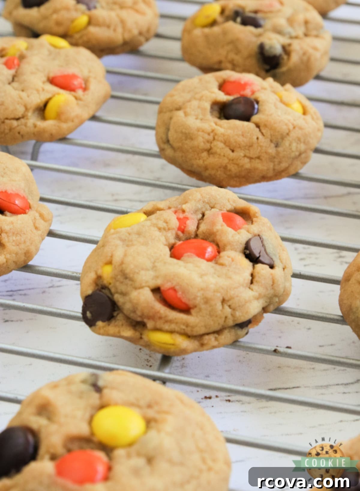 Decadent Peanut Butter Cream Cheese Cookies 11 Cream cheese peanut butter cookies with Reese's pieces.