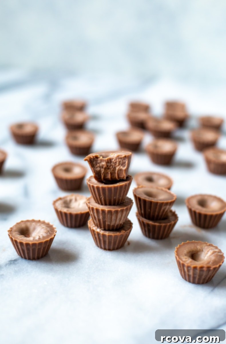 25+ Healthy Grab and Go Work Snacks 6 Keto Chocolate Fat Bombs in mini muffin liners.