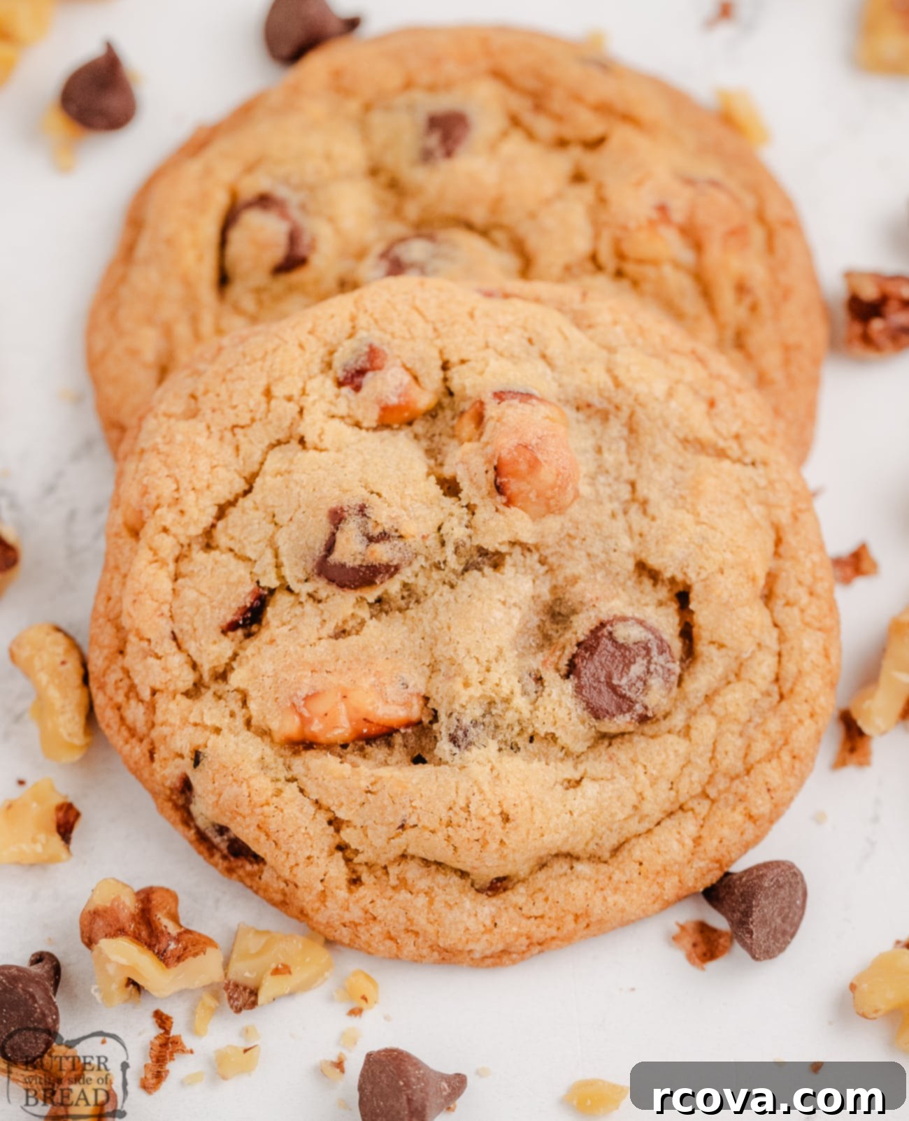 Toasted Walnut Chocolate Chip Delights 4 chocolate chip cookies with toasted walnuts