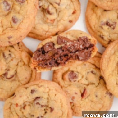 Toasted Walnut Chocolate Chip Delights 6 chocolate chip cookies with toasted walnuts
