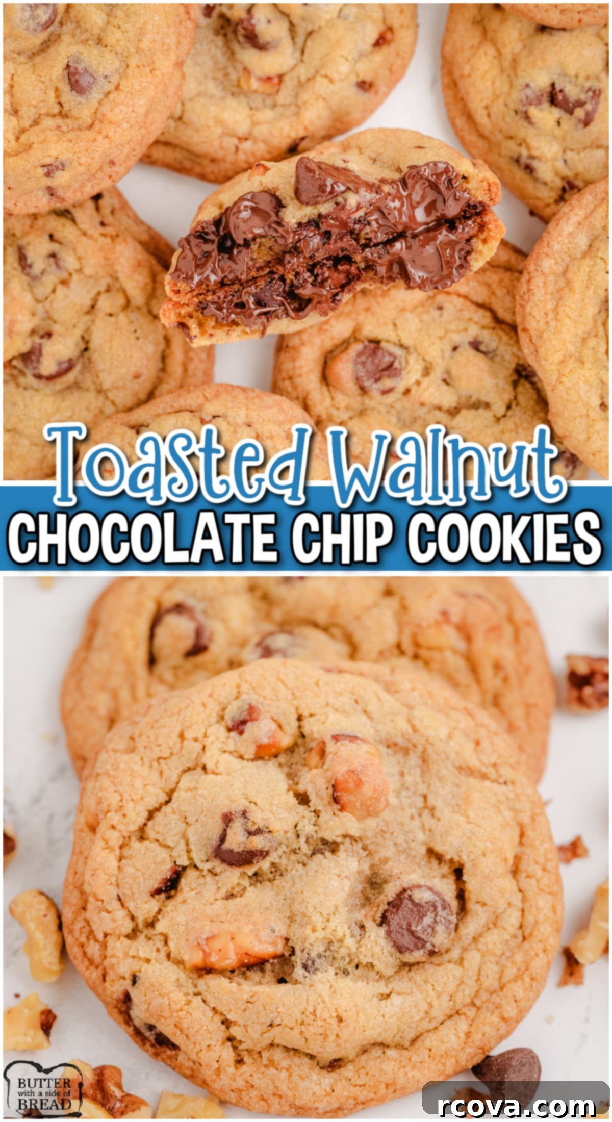 Toasted Walnut Chocolate Chip Delights 9 Classic Chocolate Chip Cookies get a flavorful twist with the addition of toasted walnuts! Delightful cookies with incredible flavor!