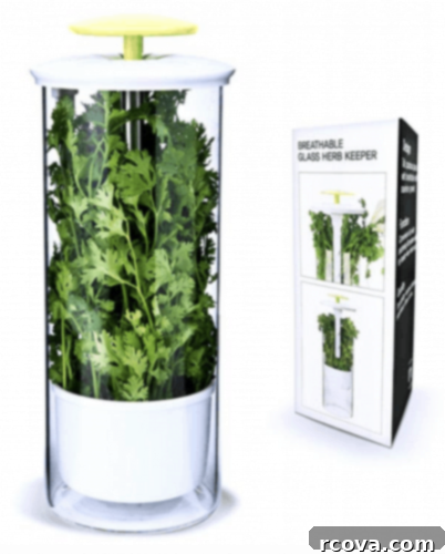 Culinary Curation: Gifts for Gourmet & Get-Ahead Cooks 30 Herb keeper and storage container, designed to keep fresh herbs vibrant for longer.