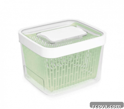 Culinary Curation: Gifts for Gourmet & Get-Ahead Cooks 32 Produce keeper designed to slow down spoilage and keep fruits and vegetables fresh longer.